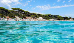 Франция откроется для украинцев уже в июне