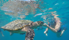 1300 євро за тиждень на островах: як влаштувати яхтинг на Сейшелах