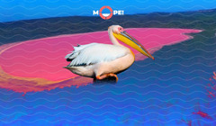 5 must visit місць на українському узбережжі