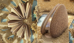 Недалеко от Коблево появится отель-мидия