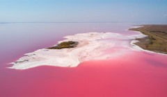 Джарылгач, Змеиный и Розовое озеро. Украинские диджеи сыграют сеты в уникальных заповедниках