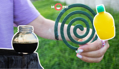 Одежда желтого цвета, соевой соус и аэрозоли. Эффективные методы от комариных укусов