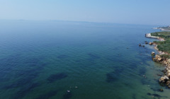 Фонтанка 2021: видео с высоты птичьего полета