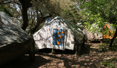 Дім на краю землі: садиба зеленого туризму в Іванівці