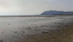 Азовське море відійшло від берега. У чому причина?