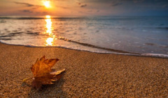 Устриці, вино і давня Одеса: де відпочити на українському морі в жовтні