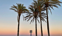 Путівник Валенсією: паелья, святий Грааль і феєрверки