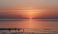 Путівник Ригою: шпроти, чорні коти і Шевченко