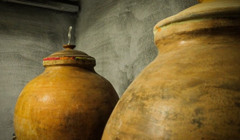 Вина Приазов'я: як працює виноробня та скільки коштують екскурсії