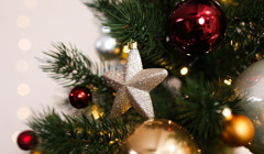 Новый год в Одессе 2022: куда пойти и как отпраздновать