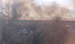 На Одещині горить територія національного парку: фото, відео