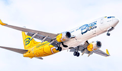 По 50 доларів: розпродаж у Bees Airline