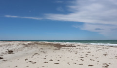 420 кілограмів риби із Червоної книги України. На Джарилгачі затримали браконьєрів