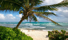 МАУ з лютого припиняє виконувати рейси у Мексику, Доміканську Республіку та на Мальдіви