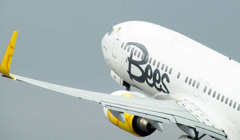 Освідчення на борту і 25% знижки: акція від Bees Airline