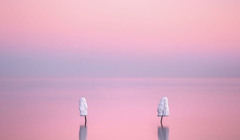 Фотографія одесита увійшла до найкращих фото у престижному міжнародному конкурсі (оновлено)