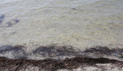 Як витрачатимуть туристичний збір у 2022 році