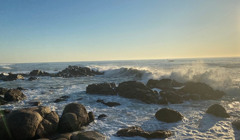 22-річний артист балету з України пропав безвісти у Португалії