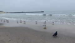 Очікуємо збільшення потоку іноземців. Заява ДАРТ стосовно військової агресії Росії