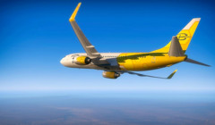 Bees відправить всі літаки за кордон