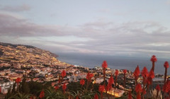 Мадейра скасовує всі обмеження для туристів