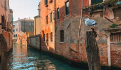 Італія відкривається для туристів з 1 березня