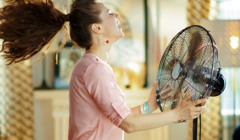 Який вентилятор вибрати для дому?