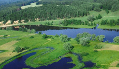 На території Каховської ГЕС утворилися нові екосистеми – еколог