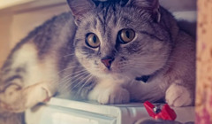 Південь країни має найбільші ризики під час опалювального сезону – експерт