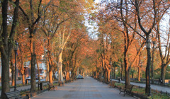 В Одесі для пішоходів відкриють, закритий від початку війни, Приморський бульвар