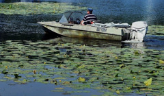 Туристів зможуть возити на човнах по Турунчуку і Дністру на Одещині. Тільки на певних ділянках