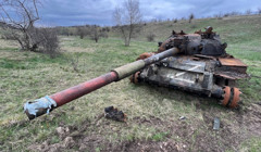 Заміновані території і скорочення популяцій: яких збитків завдали росіяни заповідникам Херсонщини?