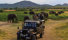 Шрі-Ланка: вибрати пляжний відпочинок чи екскурсійну програму?