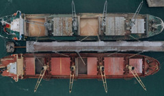 Херсонські балки перетворилися на долини. Ми зібрали головне за вихідні з узбережжя