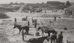 8 фактів про Плоцьк, який здивує вас своєю історією. Ось кому пощастило бути тут "олігархом"