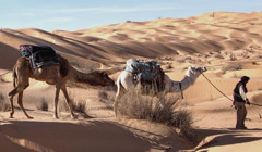 Українці звикли до авіаперельотів? Статистика туроператора Join UP