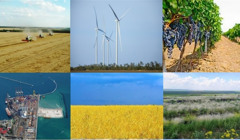 За рік на Одещині стало на 7 тисяч підприємців більше. Скільки податків переказав бізнес до бюджету?