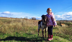 "Більше вже нікуди не виїду". Багатодітні родини не хочуть евакуюватися з прифронтового Приморського