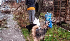 "Годую перебіжками — від під'їзду до під'їзду". Степногірська волонтерка рятує тварин під обстрілами