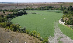 Чи можливо відновити 200 км русла Дніпра? У Академії наук розповіли про майбутнє Великого Лугу