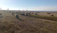 32 підприємиці Арцизу отримали мікрогранти завдяки Acted Ukraine. Які бізнеси підтримали?