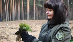 На Півдні висадять 5 гектарів лісів. Для найбільшого заходу з озеленення шукають волонтерів