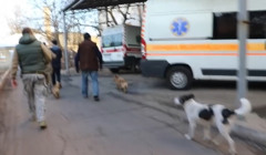 Як лікарня Гуляйполя працювала під постійними обстрілами? В мережі опублікували відео атаки