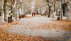 У Херсоні з'явиться провулок Поліни Райко та проспект Романа Шухевича. Які ще вулиці перейменували?