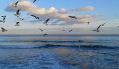 Топ сучасних українських пісень про море, які варто послухати