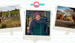 Обстежує заміновані поля та лагодить побиту техніку: історія фермерки з Херсонщини