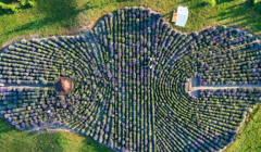 Туризм в Україні: які місця для відпочинку в 2024 році рекомендує туроператор