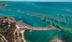 В липні у Чорному морі науковці зафіксували цвітіння води: до Одеси воно, на щастя, не дісталось