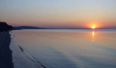 Солоність Азовського моря б'є рекорд за 70 років — риби залишилося втричі менше