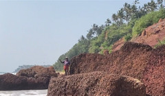 Індія відкривається для туристів